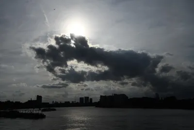 DSC_6433 (Large).JPG